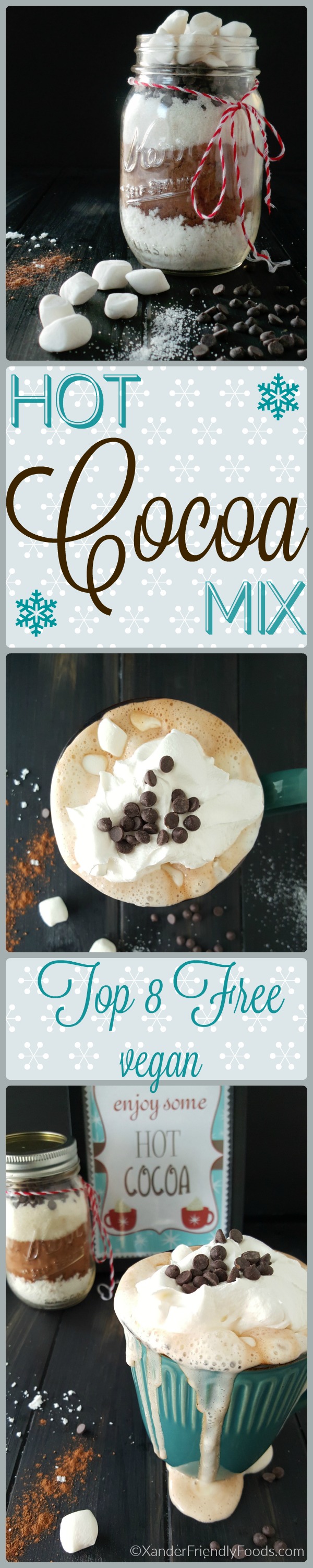Deliciously dairy-free Hot Cocoa mix, perfect for 1 mug or 10. Top 8 free & vegan